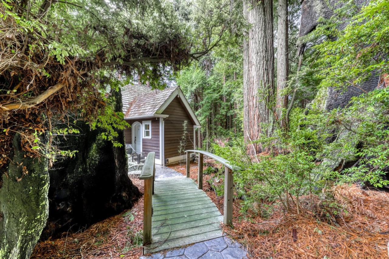 ארקטה Serene Redwood Retreat מראה חיצוני תמונה